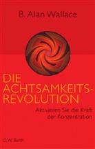 B. Alan Wallace - Die Achtsamkeits-Revolution