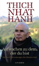 Thich Nhat Hanh - Aufwachen zu dem, der du bist