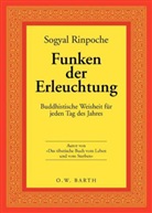 Sogyal (Rinpoche), Sogyal Rinpoche - Funken der Erleuchtung