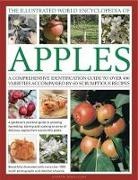 Andrew Mikolajski, Mikolajski Andrew - Illustrated World Encyclopedia of Apples