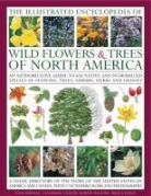 Catherine Cutler, Michael Lavelle, Tony Russell, Tony Cutler Russell, Martin Walters - Illustrated Encyclopedia of Wild Flowers & Trees of North America