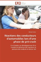 Mickaël Hetier, Hetier-M - Reactions des conducteurs d