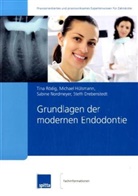 Steffi Drebenstedt, Michael Hülsmann, Sabine Nordmeyer, Tina Rödig - Grundlagen der modernen Endodontie