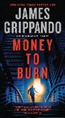 James Grippando, Grippando James - Money to Burn