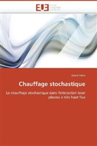 David Patin, Patin-D - Chauffage stochastique
