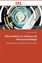 Micky Rakotondrabe, Rakotondrabe-M - Microrobots et stations de