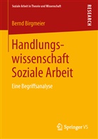 Bernd Birgmeier - Handlungswissenschaft Soziale Arbeit