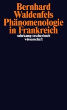 Bernhard Waldenfels - Phänomenologie in Frankreich