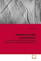 Karin Almasy - Subversion oder Assimilation?