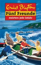 Enid Blyton, Hemesh Alles - Fünf Freunde - Bd. 22: Fünf Freunde meistern jede Gefahr