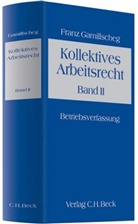 Franz Gamillscheg - Arbeitsrecht - Bd. 2/2: Betriebsverfassung