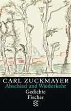 Carl Zuckmayer, Knu Beck, Knut Beck, Guttenbrunner-Zuckmayer, Guttenbrunner-Zuckmayer - Gesammelte Werke in Einzelbänden - TB: Abschied und Wiederkehr