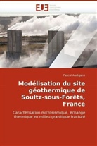 Pascal Audigane, Audigane-P - Modelisation du site geothermique