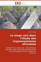 Caroline Boda, Boda-C - Le singe vert dans l etude des