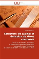 Souad Brinette, Brinette-S - Structure du capital et emission