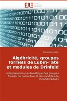 Christophe Cadic, Cadic-C - Algebricite, groupes formels de