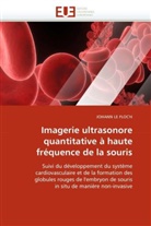 Le floc h-j, Johann Le Floc'H, Johann Le Floc''H, Le Floc''h-J - Imagerie ultrasonore quantitative