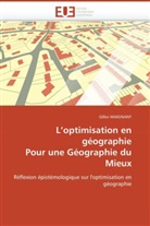 Gilles Maignant, Maignant-G - L optimisation en geographie pour