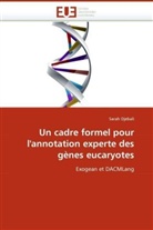 Sarah Djebali, Djebali-S - Un cadre formel pour l annotation