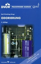 Karl Pritsching - Odorierung, m. CD-ROM