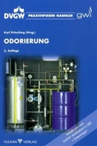 Karl Pritsching - Odorierung, m. DVD-ROM
