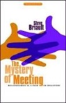 Steve Briault, Gill David - Mystery of Meeting