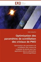 Gleb Drobychev, Drobychev-G - Optimisation des parametres de