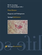 Martin H. Groschup, Hans Kretzschmar, Hans A. Kretzschmar - Prion Diseases