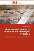Vincent Mazel, Mazel-V - Analyse par imagerie chimique de