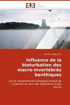 Sandra Lagauzere, Lagauzere-S - Influence de la bioturbation des