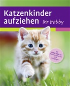 Mark Evans - Katzenkinder aufziehen