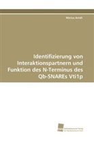 Marius Arndt - Identifizierung von Interaktionspartnern und Funktion des N-Terminus des Qb-SNAREs Vti1p