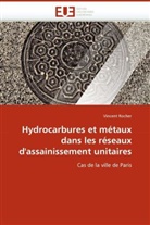 Vincent Rocher, Rocher-v - Hydrocarbures et metaux dans les