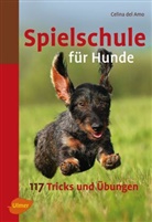 Celina del Amo, Celina del Amo, Celina DelAmo - Spielschule für Hunde