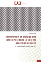 Isabelle Jutras, Jutras-I - Maturation et ciblage des