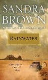 Sandra Brown - Rainwater