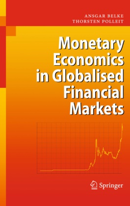 Ansga Belke, Ansgar Belke, Thorsten Polleit - Monetary Economics in Globalised Financial Markets