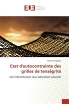 Nicolas Angellier - Etat d'autocontrainte des grilles de tenségrité