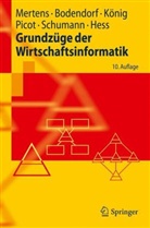 Freimut Bodendorf, Wolfgang König, Peter Mertens - Grundzüge der Wirtschaftsinformatik