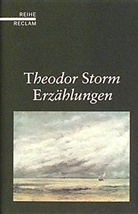 Theodor Storm - Erzählungen