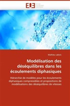 Mathieu Labois, Labois-M - Modelisation des desequilibres