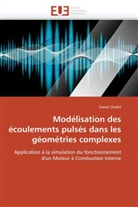 David Chalet, Chalet-D - Modelisation des ecoulements