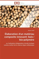 Marion Noël, Noel-M - Elaboration d un materiau