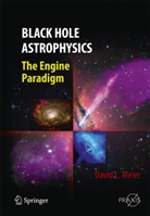 David L Meier, David L. Meier - Black Hole Astrophysics