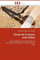 NORBERTO DOMINGUEZ RAMIREZ, Ramirez-N - Etude de la liaison acier-beton
