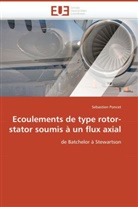 Sebastien Poncet, Poncet-S - Ecoulements de type rotor stator