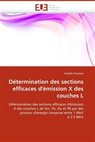 Souhila Ouziane, Ouziane-S - Determination des sections