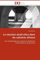 Yann Monnin, Monnin-Y - La reaction alcali silice dans