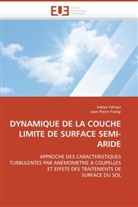 COLLECTIF, Jean-Pierre Frangi, Saley Yahaya, Saleye Yahaya - Dynamique de la couche limite de