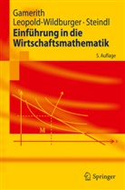 Wol Gamerith, Wolf Gamerith, Ulrik Leopold-Wildburger, Ulrike Leopold-Wildburger, Steindl, Werner Steindl - Einführung in die Wirtschaftsmathematik
